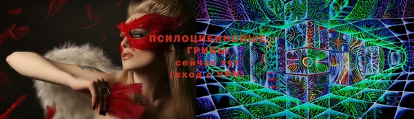 соль ск Карталы