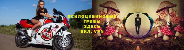 соль ск Карталы